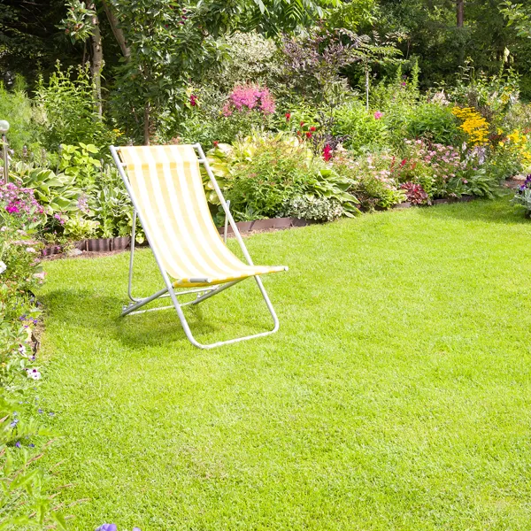 searles-product-searles-lawn-food